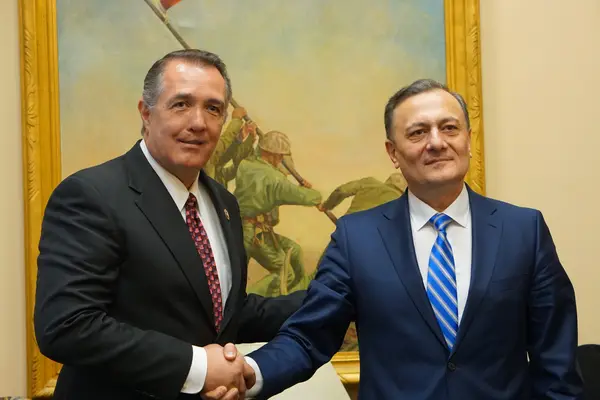 ვიზიტები